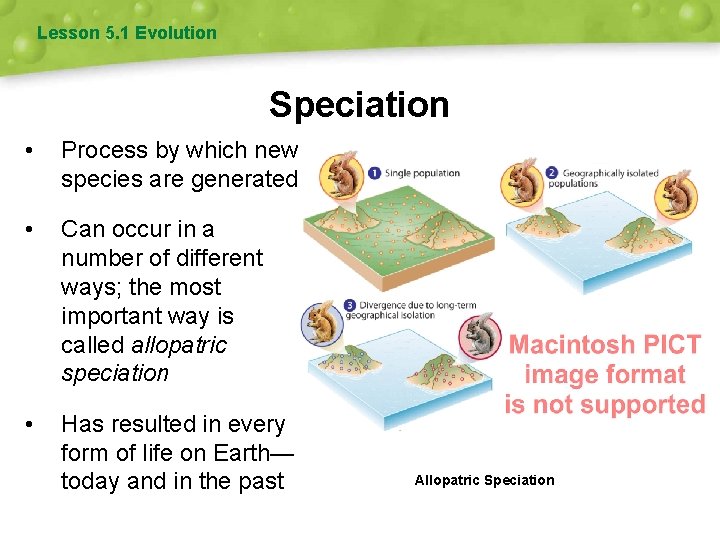 Lesson 5. 1 Evolution Speciation • Process by which new species are generated •