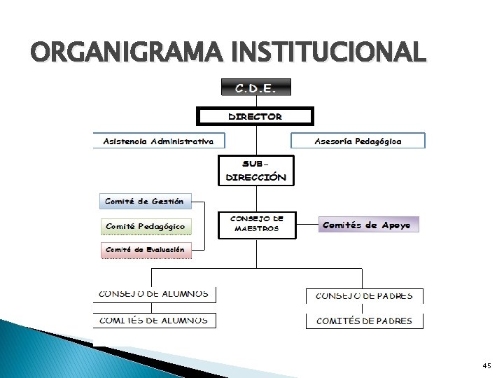 ORGANIGRAMA INSTITUCIONAL 45 