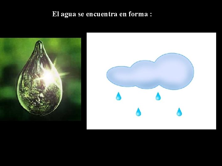 El agua se encuentra en forma : 