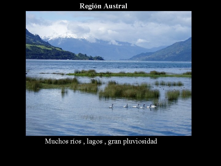Región Austral Muchos ríos , lagos , gran pluviosidad 
