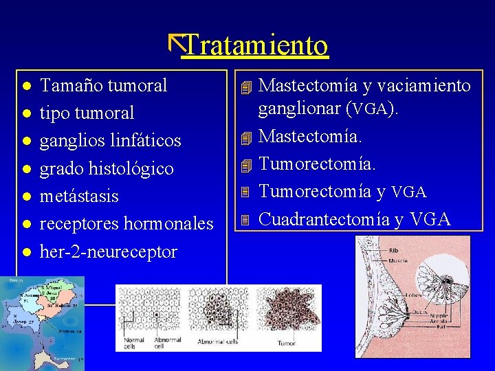 ãTratamiento l l l l Tamaño tumoral tipo tumoral ganglios linfáticos grado histológico metástasis