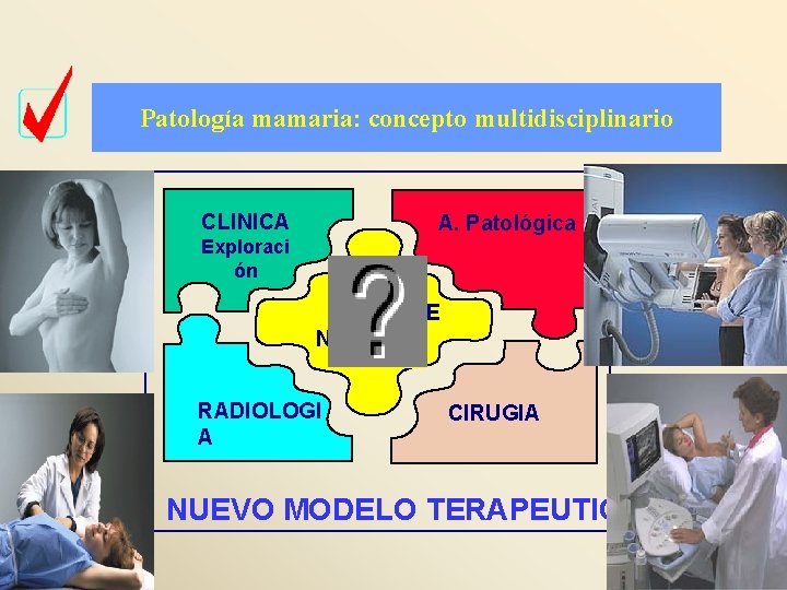 Patología mamaria: concepto multidisciplinario CLINICA A. Patológica Exploraci ón URGE NCIA RADIOLOGI A CIRUGIA