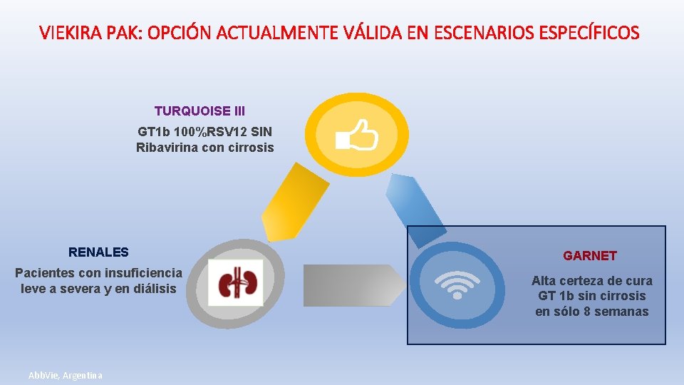VIEKIRA PAK: OPCIÓN ACTUALMENTE VÁLIDA EN ESCENARIOS ESPECÍFICOS TURQUOISE III GT 1 b 100%RSV