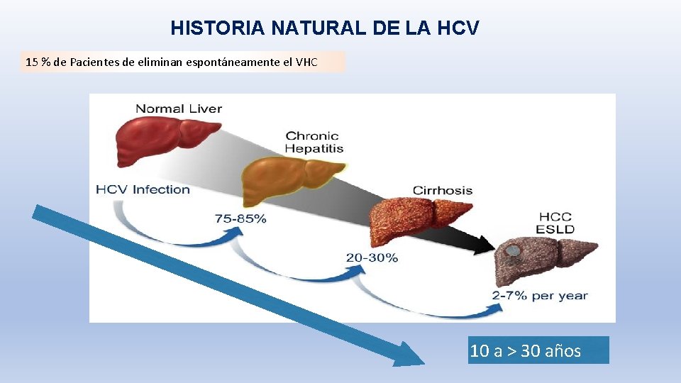HISTORIA NATURAL DE LA HCV 15 % de Pacientes de eliminan espontáneamente el VHC