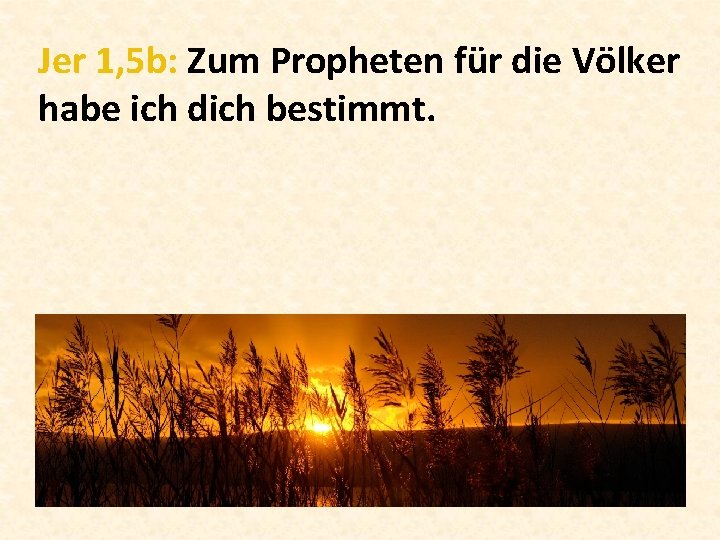 Jer 1, 5 b: Zum Propheten für die Völker habe ich dich bestimmt. 