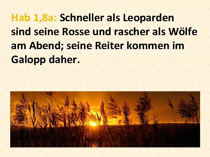 Hab 1, 8 a: Schneller als Leoparden sind seine Rosse und rascher als Wölfe