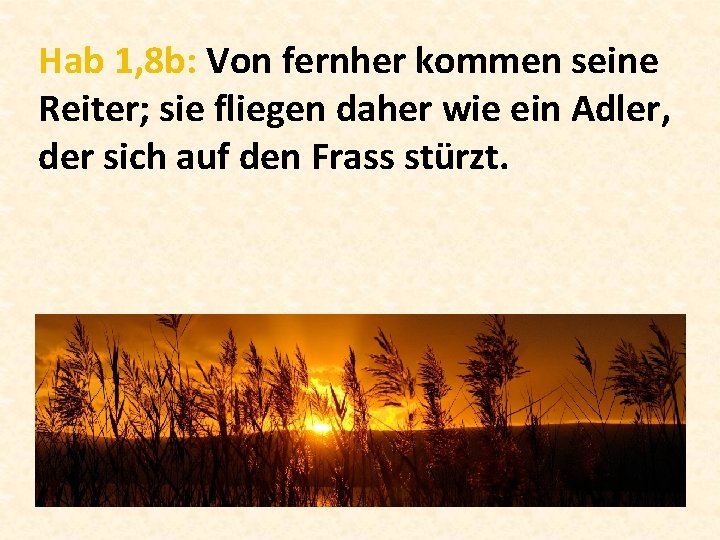 Hab 1, 8 b: Von fernher kommen seine Reiter; sie fliegen daher wie ein