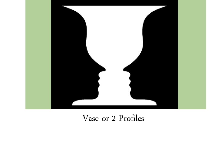 Vase or 2 Profiles 