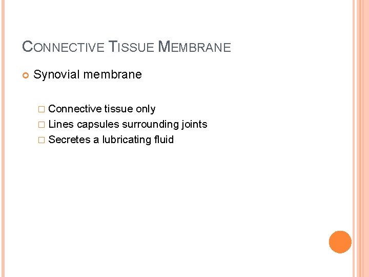 CONNECTIVE TISSUE MEMBRANE Synovial membrane � Connective tissue only � Lines capsules surrounding joints