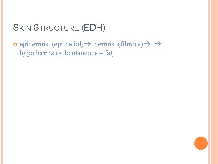 SKIN STRUCTURE (EDH) epidermis (epithelial) dermis (fibrous) hypodermis (subcutaneous – fat) 