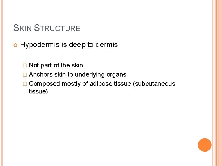 SKIN STRUCTURE Hypodermis is deep to dermis � Not part of the skin �