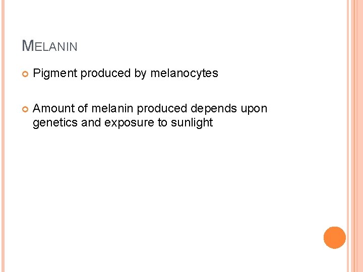 MELANIN Pigment produced by melanocytes Amount of melanin produced depends upon genetics and exposure