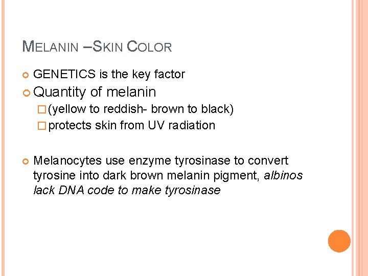 MELANIN – SKIN COLOR GENETICS is the key factor Quantity of melanin � (yellow