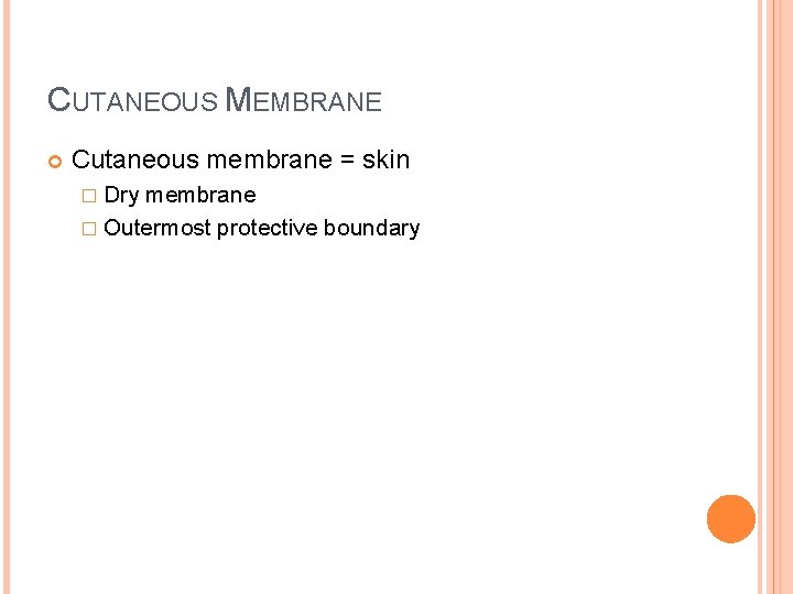 CUTANEOUS MEMBRANE Cutaneous membrane = skin � Dry membrane � Outermost protective boundary 