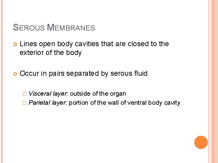 SEROUS MEMBRANES Lines open body cavities that are closed to the exterior of the