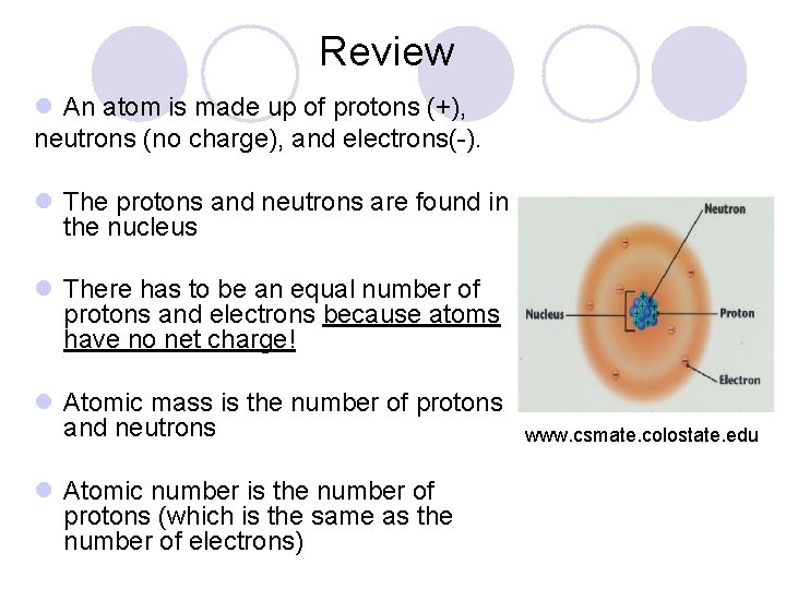 Review l An atom is made up of protons (+), neutrons (no charge), and
