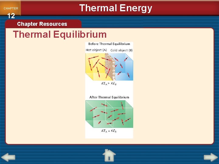 CHAPTER 12 Thermal Energy Chapter Resources Thermal Equilibrium 