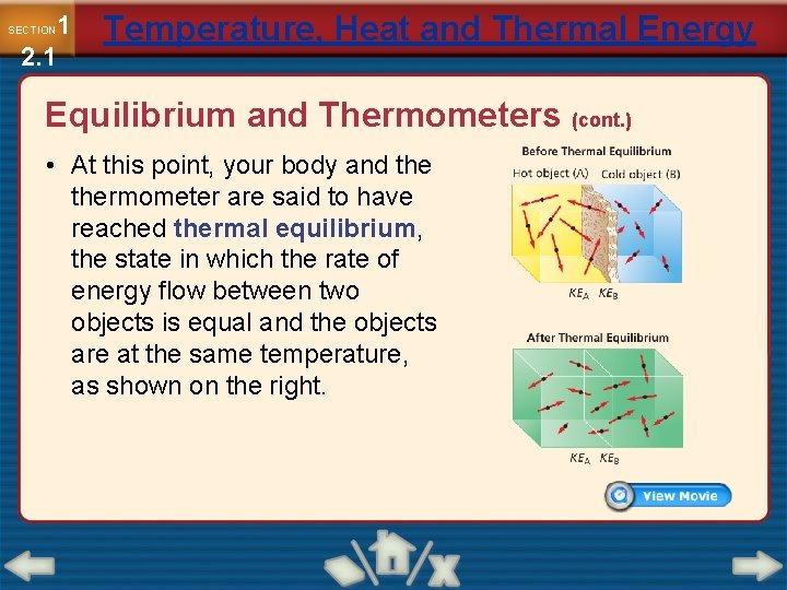 1 2. 1 SECTION Temperature, Heat and Thermal Energy Equilibrium and Thermometers (cont. )