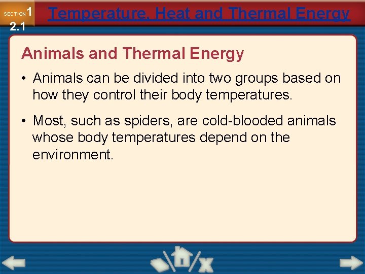 1 2. 1 SECTION Temperature, Heat and Thermal Energy Animals and Thermal Energy •