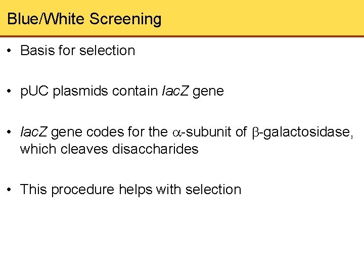 Blue/White Screening • Basis for selection • p. UC plasmids contain lac. Z gene