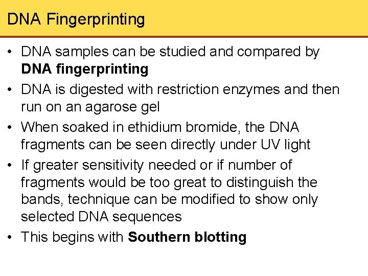 DNA Fingerprinting • DNA samples can be studied and compared by DNA fingerprinting •