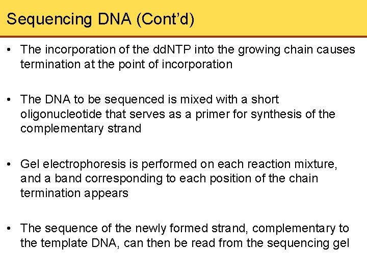 Sequencing DNA (Cont’d) • The incorporation of the dd. NTP into the growing chain