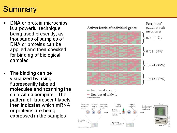 Summary • DNA or protein microchips is a powerful technique being used presently, as