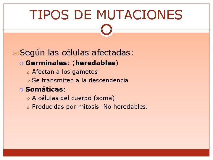 TIPOS DE MUTACIONES Según las células afectadas: Germinales: (heredables) Afectan a los gametos Se
