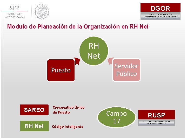 DGOR DIRECCIÓN GENERAL DE ORGANIZACIÓN Y REMUNERACIONES Modulo de Planeación de la Organización en