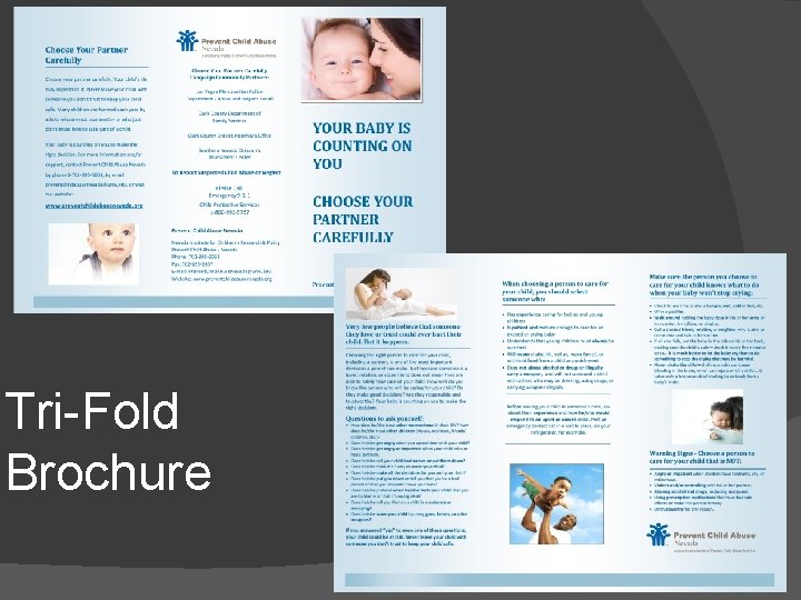 Tri-Fold Brochure 