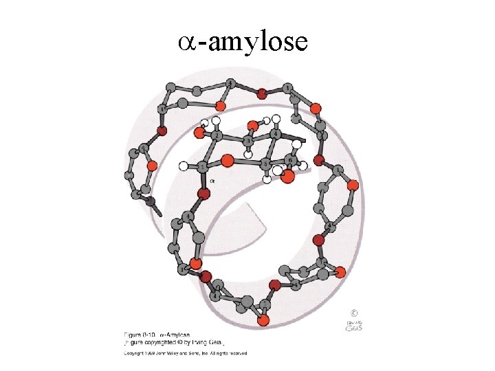 a-amylose 