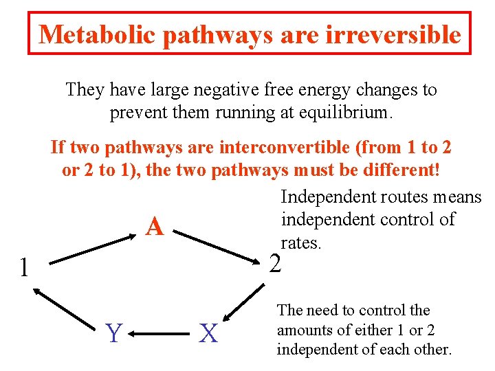 Metabolic pathways are irreversible They have large negative free energy changes to prevent them