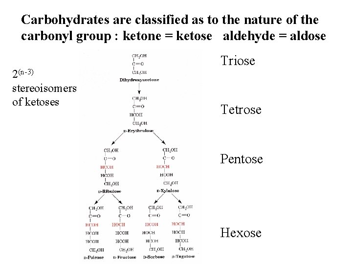 Carbohydrates are classified as to the nature of the carbonyl group : ketone =