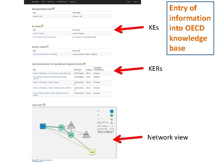 KEs Entry of information into OECD knowledge base KERs Network view 