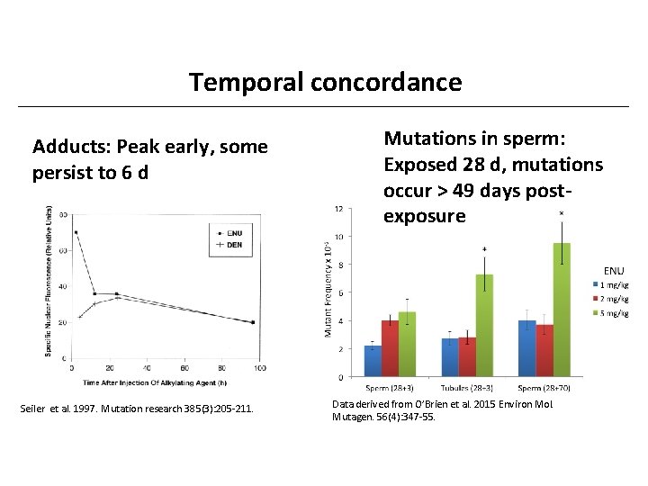 Temporal concordance Adducts: Peak early, some persist to 6 d Seiler et al. 1997.