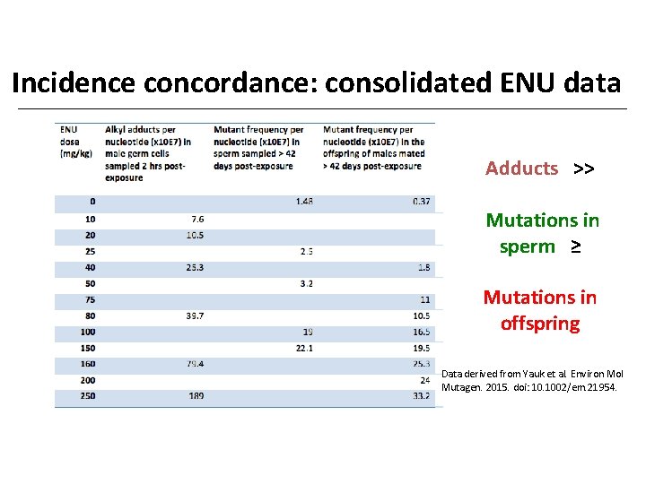 Incidence concordance: consolidated ENU data Adducts >> Mutations in sperm ≥ Mutations in offspring