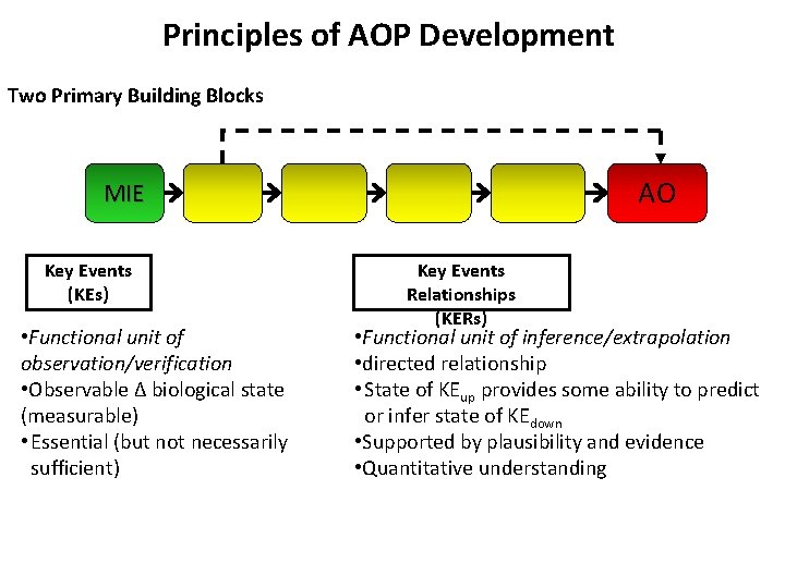 Principles of AOP Development Two Primary Building Blocks AO MIE Key Events (KEs) •