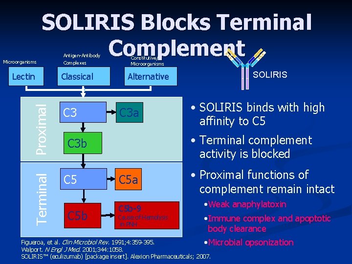 Microorganisms SOLIRIS Blocks Terminal Complement Proximal Classical C 3 Terminal Lectin Antigen-Antibody Complexes C