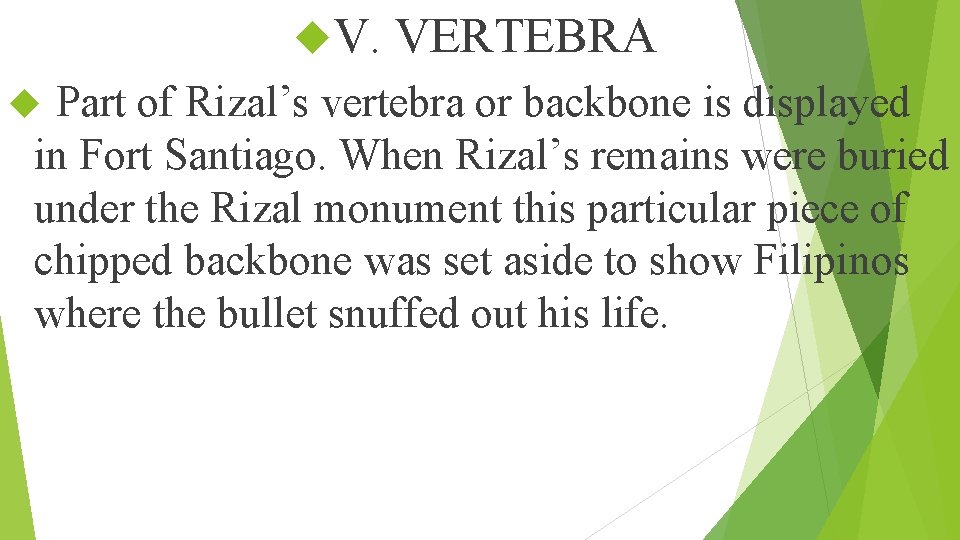  V. VERTEBRA Part of Rizal’s vertebra or backbone is displayed in Fort Santiago.