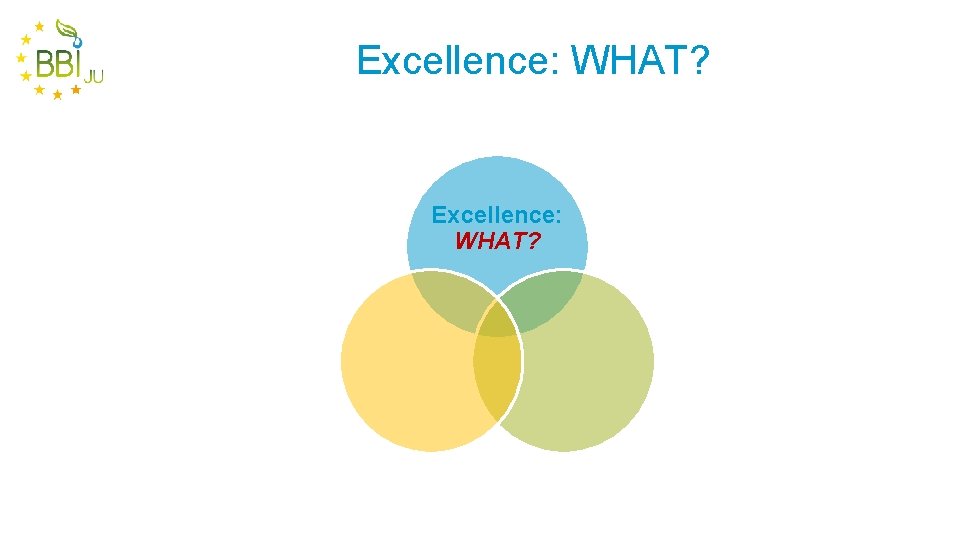 Excellence: WHAT? 