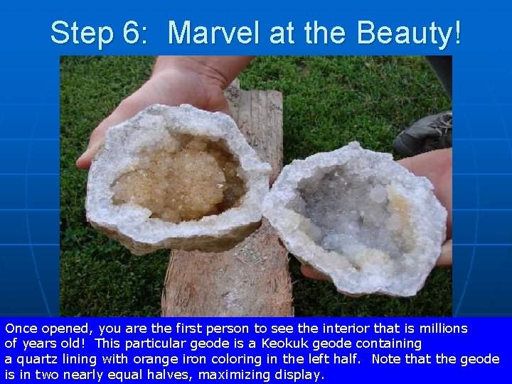 Step 6: Marvel at the Beauty! Once opened, you are the first person to