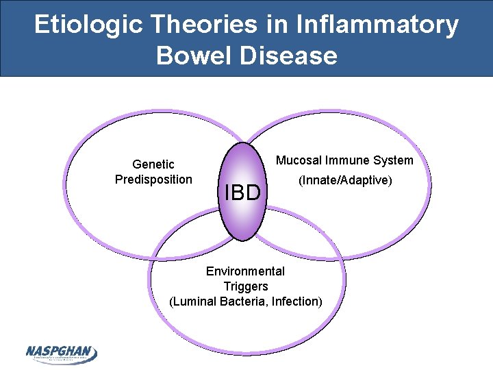 Etiologic Theories in Inflammatory Bowel Disease Genetic Predisposition Mucosal Immune System IBD (Innate/Adaptive) Environmental