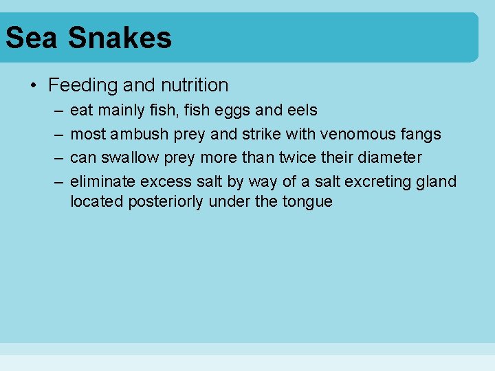 Sea Snakes • Feeding and nutrition – – eat mainly fish, fish eggs and