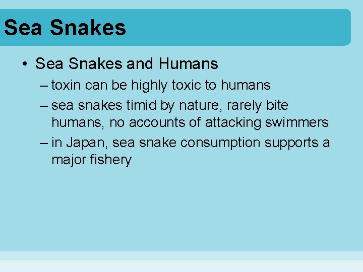 Sea Snakes • Sea Snakes and Humans – toxin can be highly toxic to