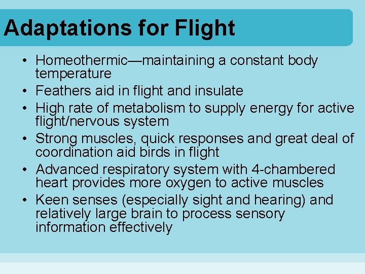 Adaptations for Flight • Homeothermic—maintaining a constant body temperature • Feathers aid in flight