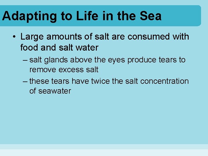 Adapting to Life in the Sea • Large amounts of salt are consumed with