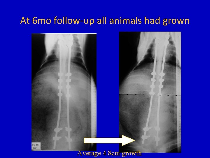 At 6 mo follow-up all animals had grown Average 4. 8 cm growth 