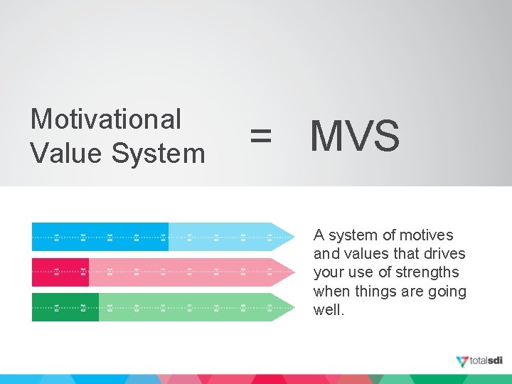 Motivational Value System = MVS A system of motives and values that drives your