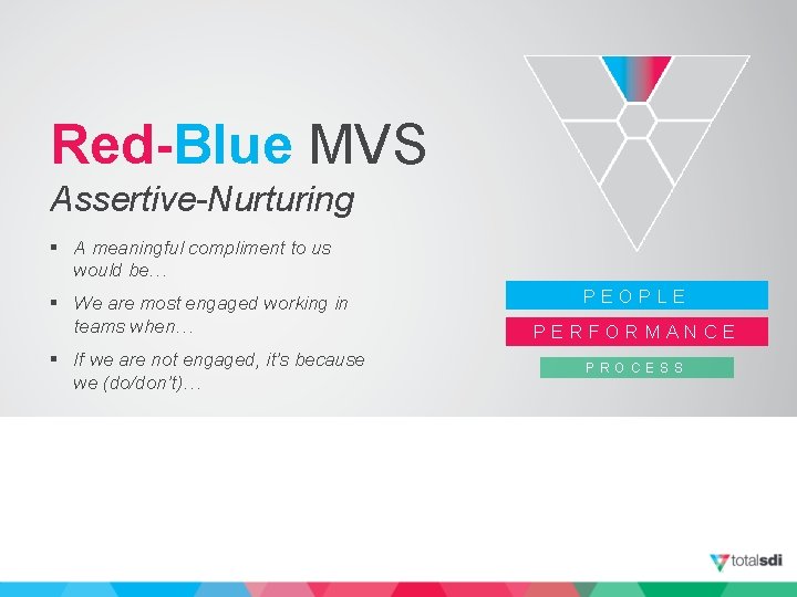 Red-Blue MVS Assertive-Nurturing § A meaningful compliment to us would be… § We are