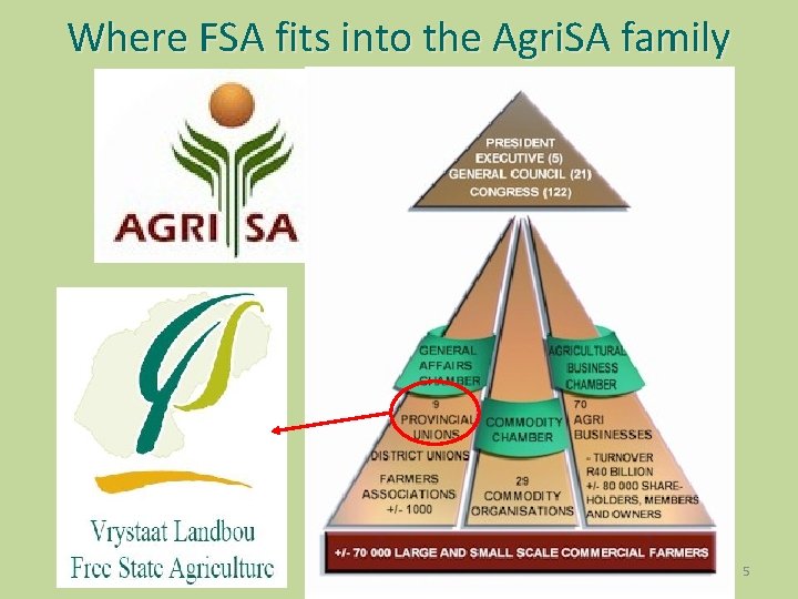 Where FSA fits into the Agri. SA family 5 